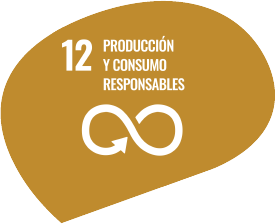 ODS 12