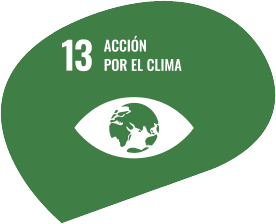 ODS 13