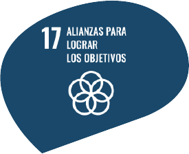 ODS 17